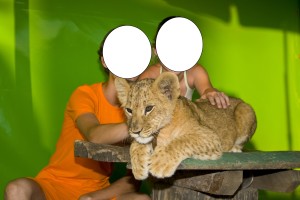 Lion Cub Photo with Kids